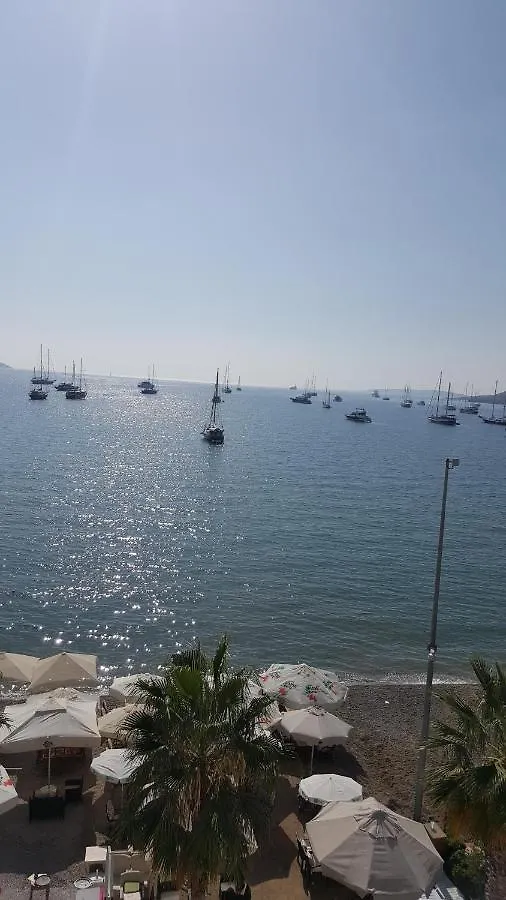 Artemis Hotel Αλικαρνασσός