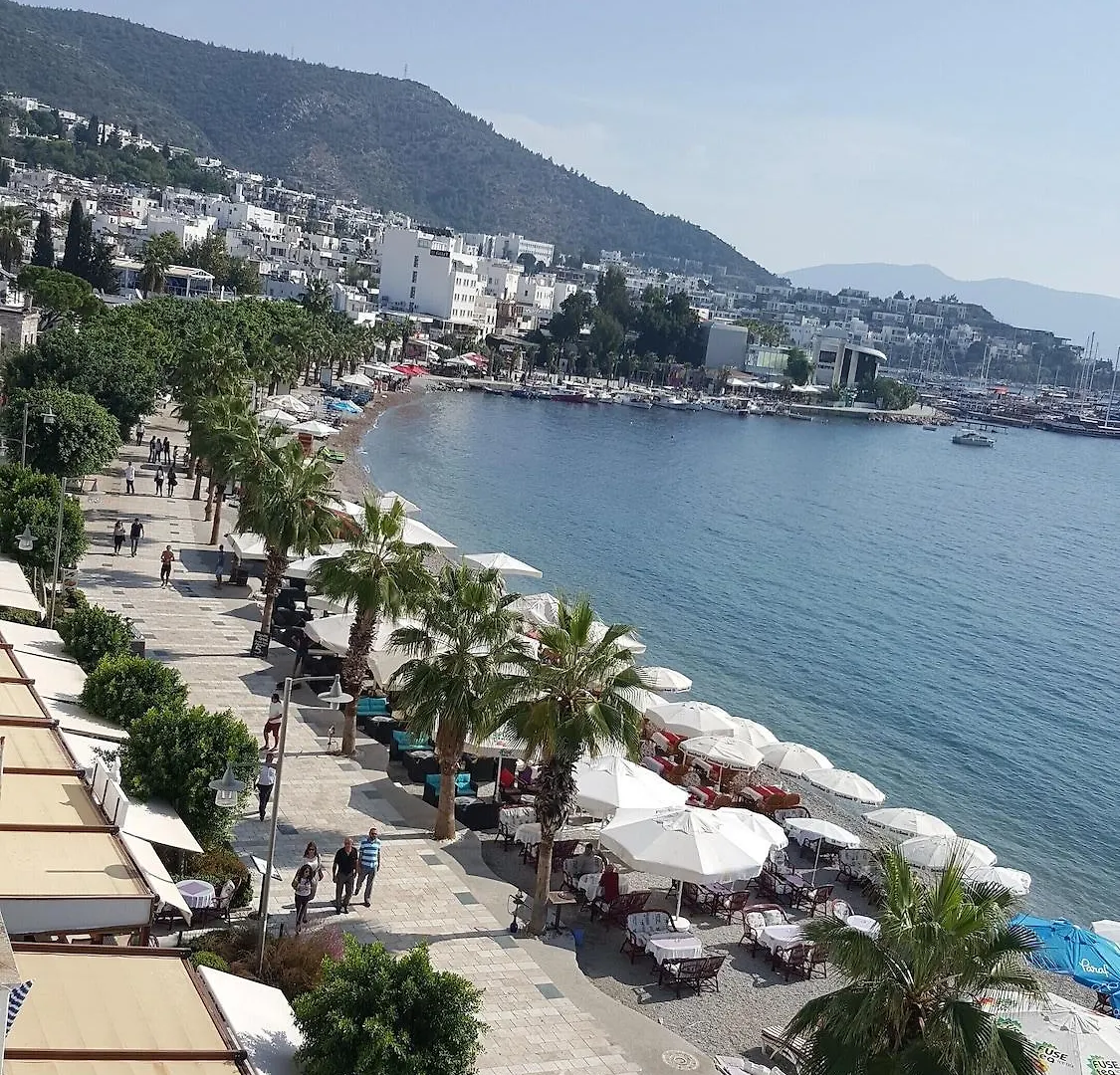 Artemis Hotel Αλικαρνασσός